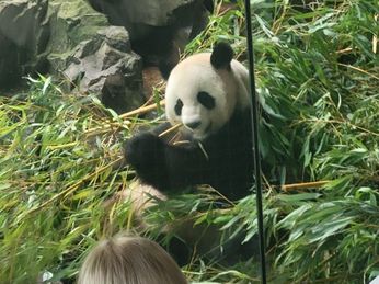 Heiligensee 2 - 2022