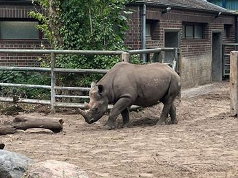 Heiligensee 2 - 2022