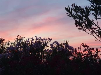 K1-2019 / Tag 1 - 22.07.2019