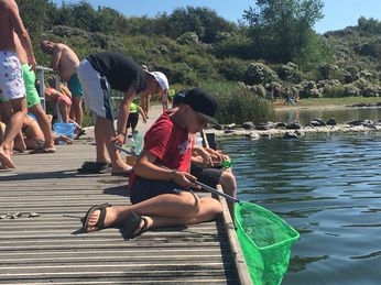 Zeeland - 02.08.2018 (Z 2)