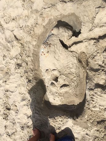 Zeeland - 11.08.2018 (Z 2)